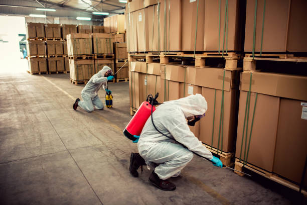 Best Termite Control Services  in Orida Ridge, FL