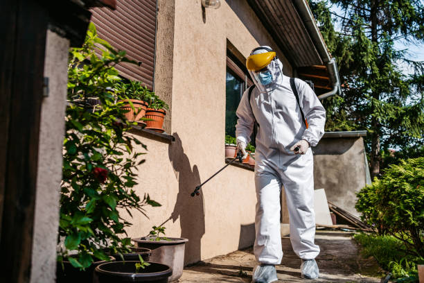 Best Wasp Removal Services  in Orida Ridge, FL