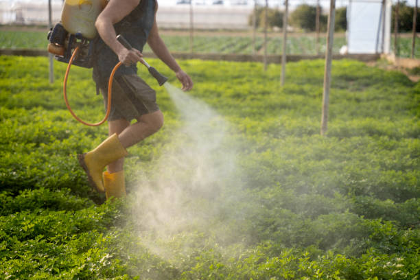 Best Best Pest Control Companies  in Orida Ridge, FL