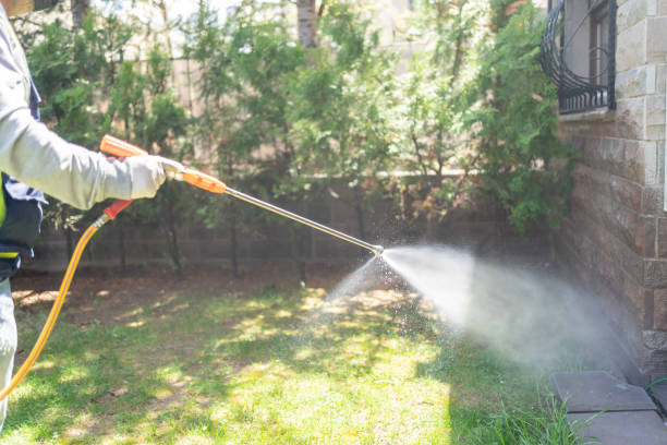 Wasp Removal Services in Florida Ridge, FL
