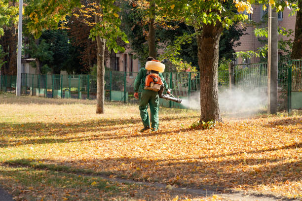 Best Mosquito Control Services  in Orida Ridge, FL